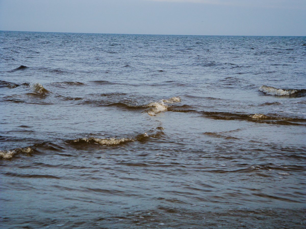 Залив в Балтийском море