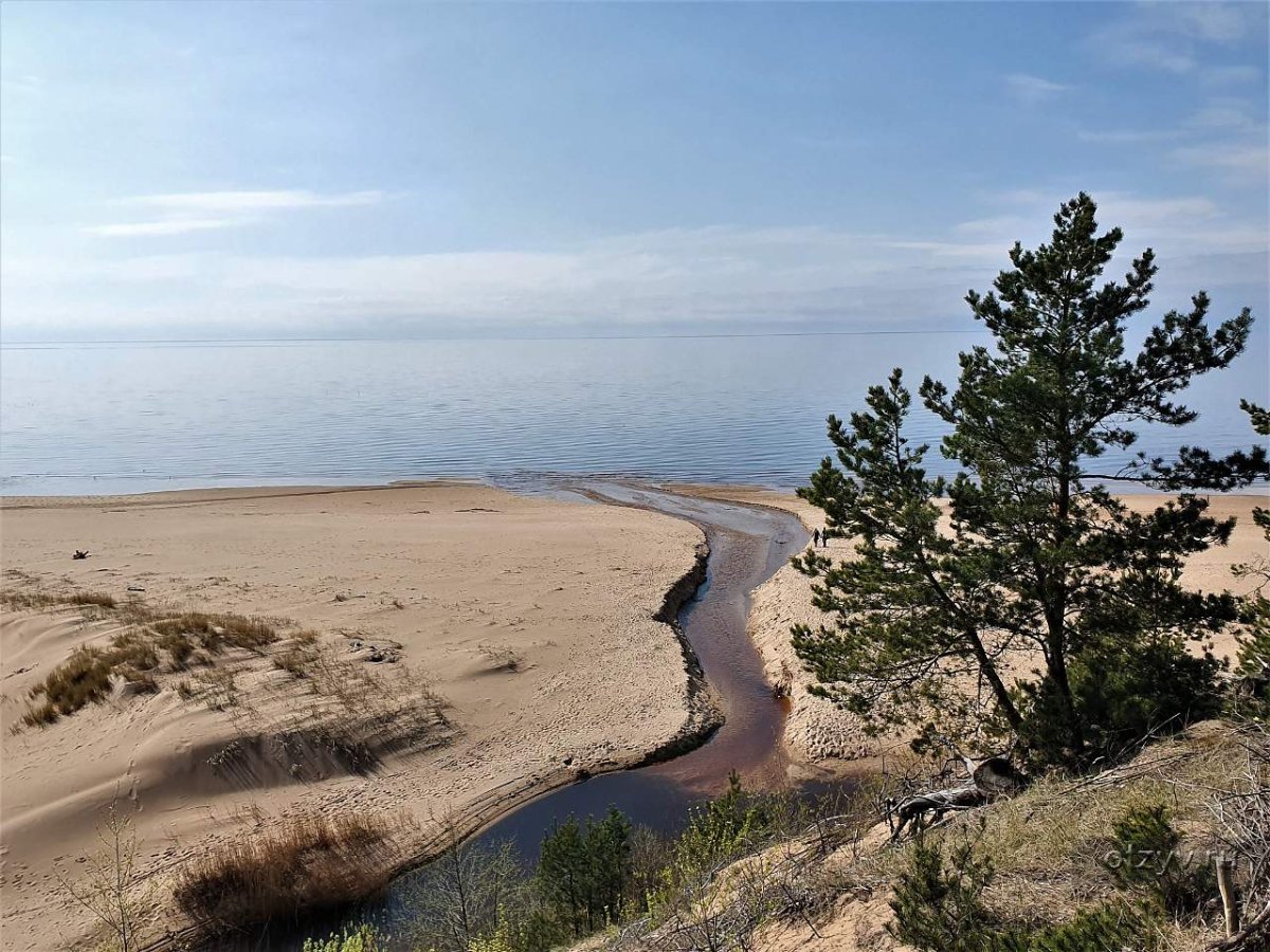 Латвия Рижское Взморье