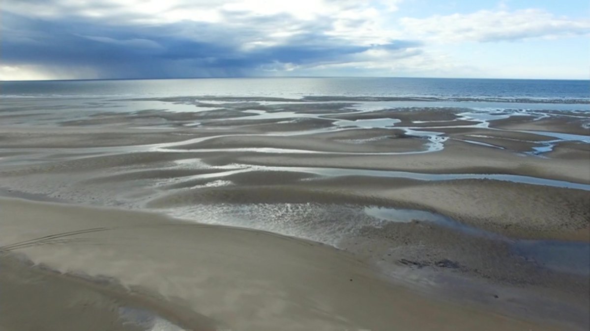 Белое море Нижний берег