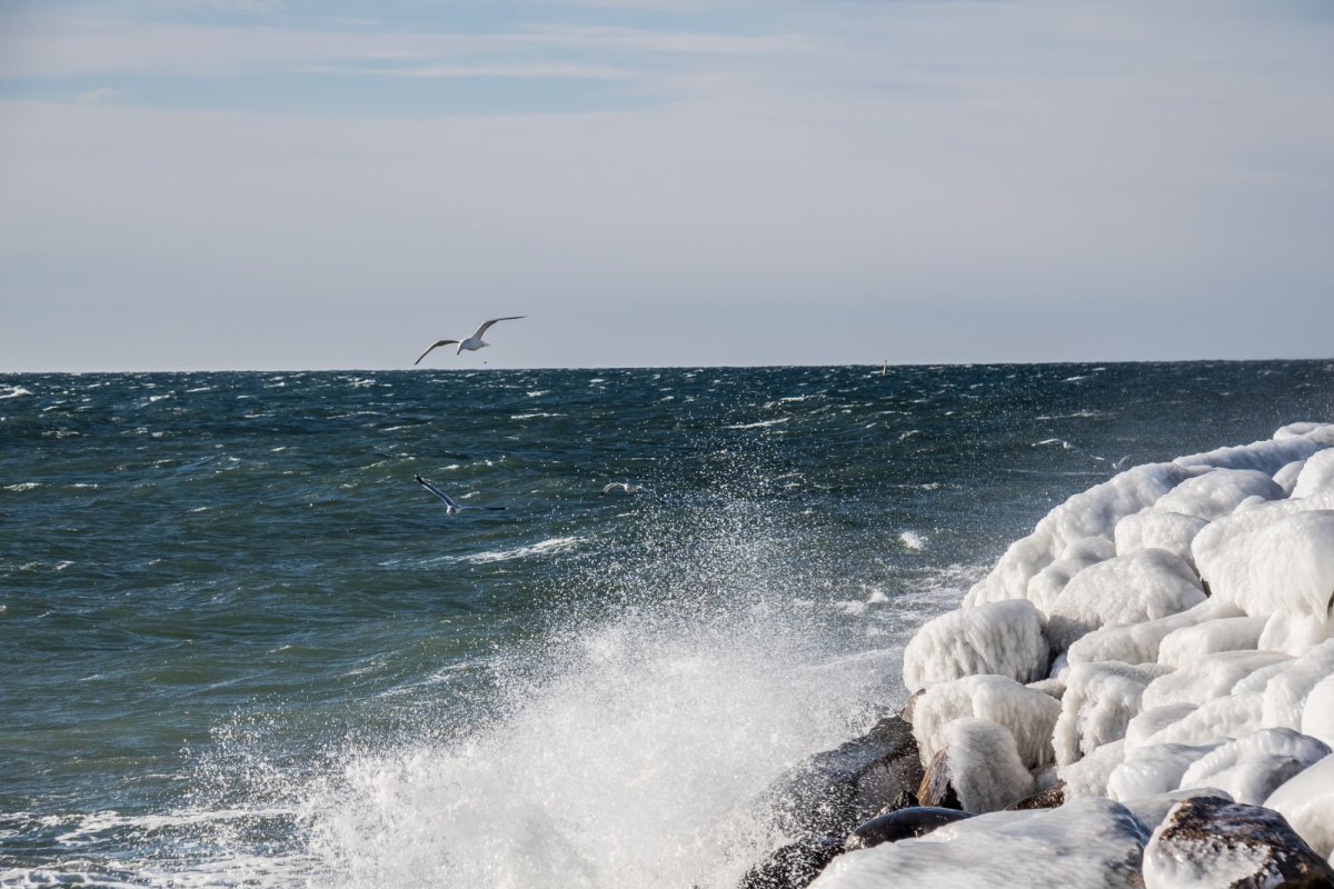 Холодное черное море