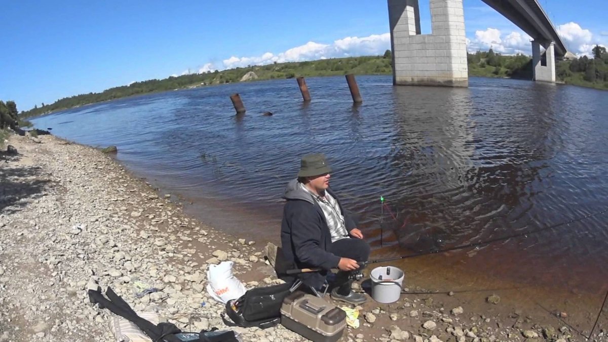 Река Волхов рыбалка