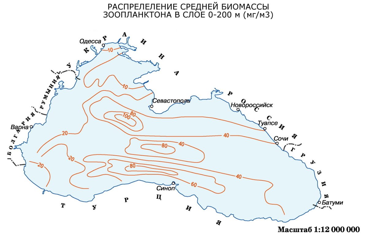 Зоопланктон в черном море карта