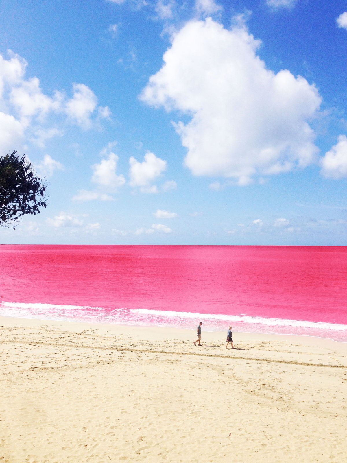 Pink Sands Beach Багамские острова