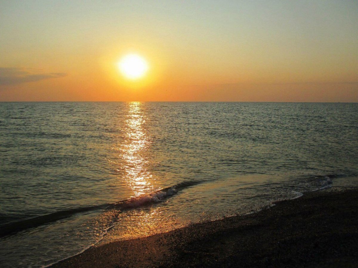 Азовское море станицы у моря Должанская фото пляж коралл