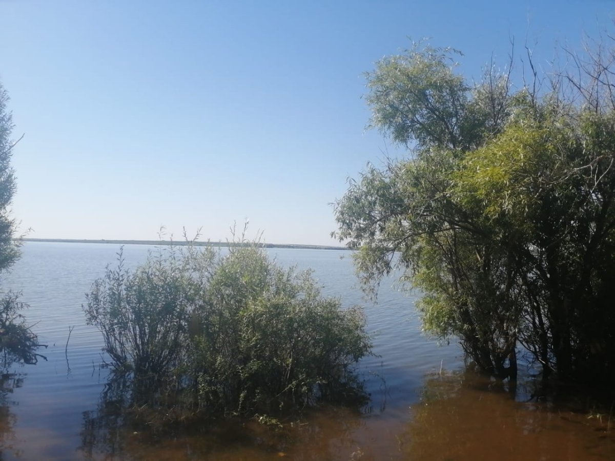 Сорочинск водохранилище