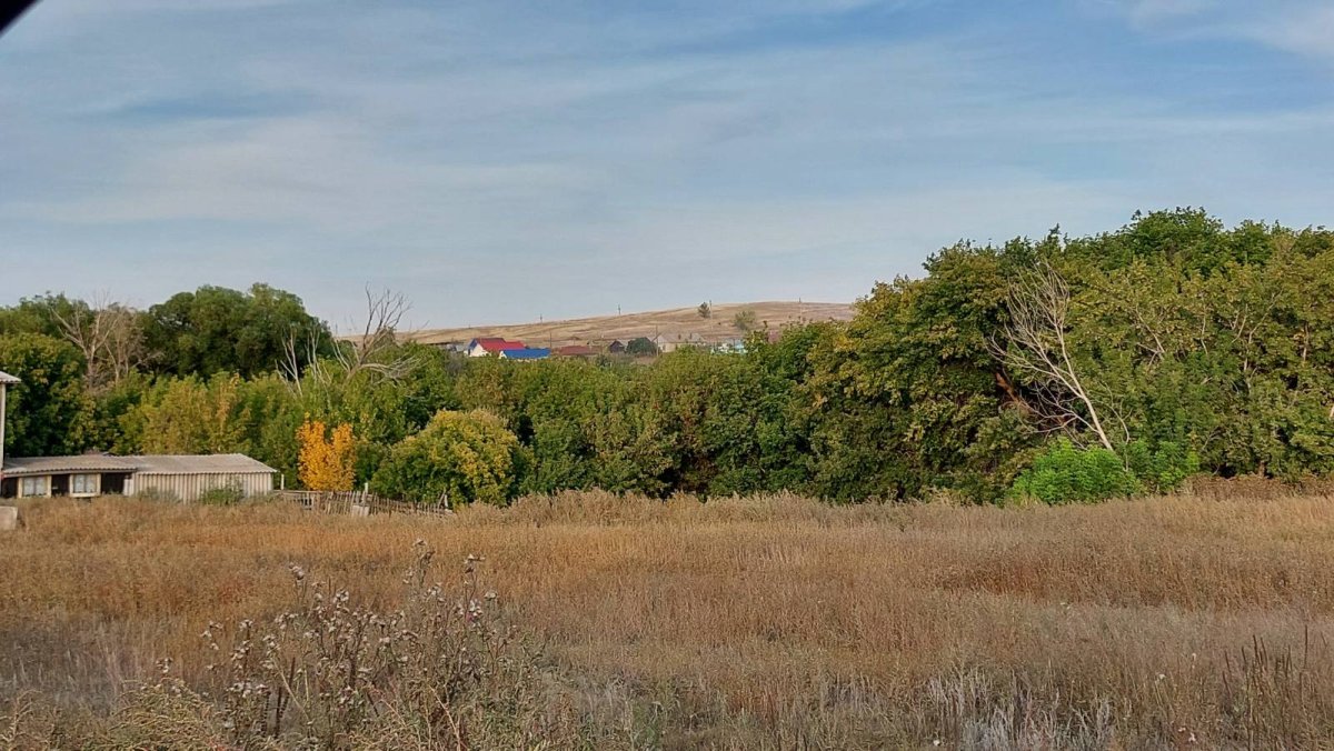 Оренбургская область