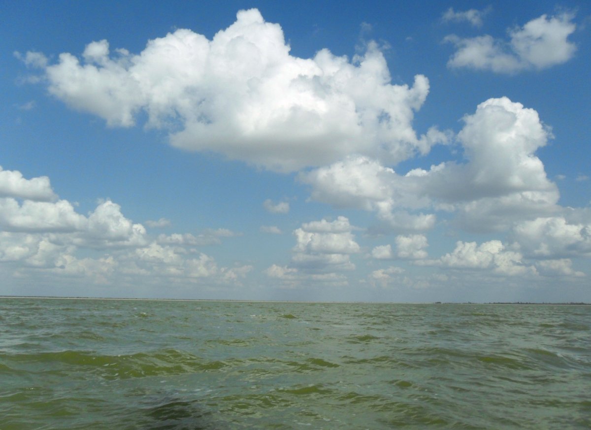 Парус Азовское море