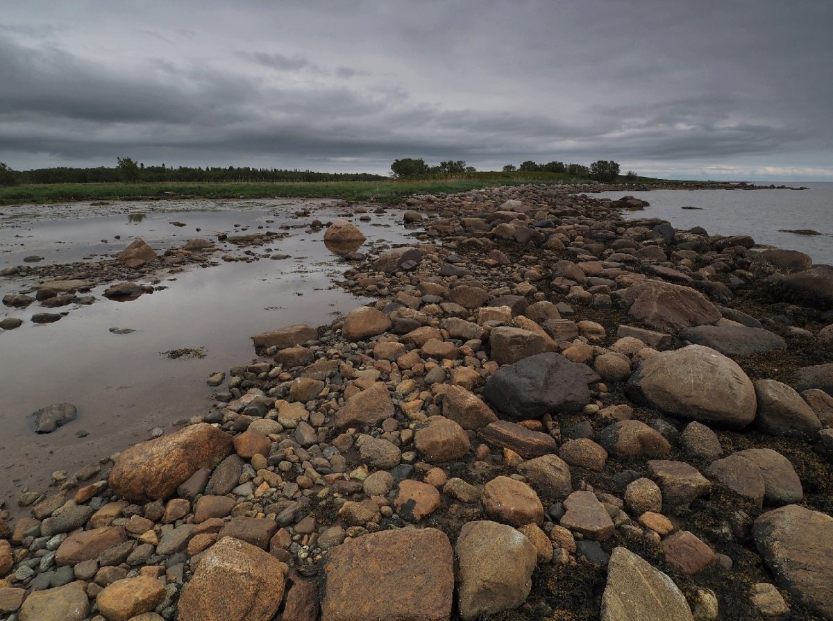 Белое море