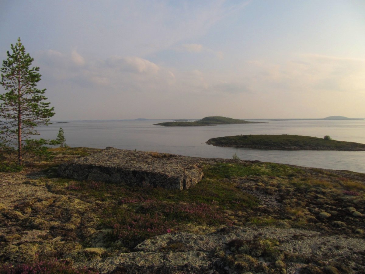 Остров Кондостров в белом море