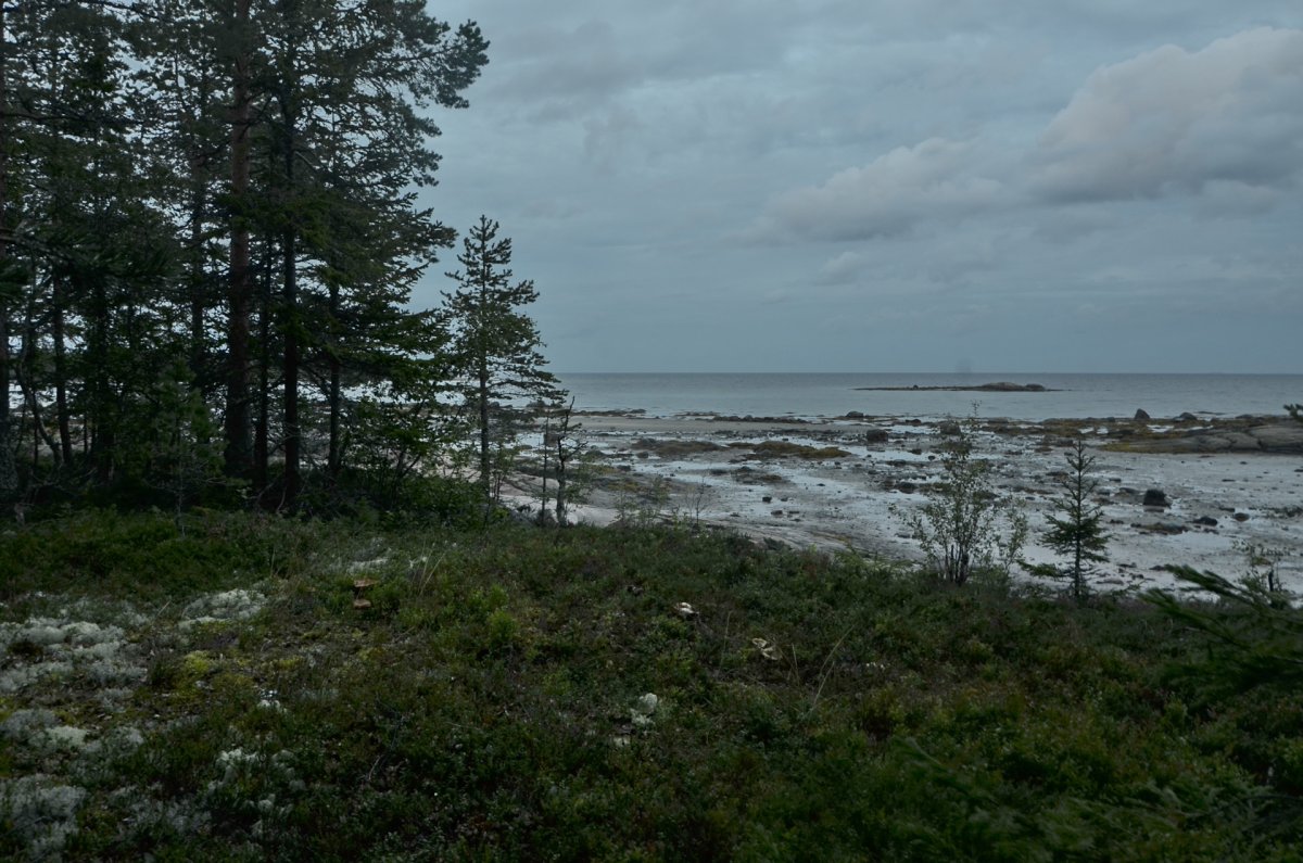 Белое море Кировск