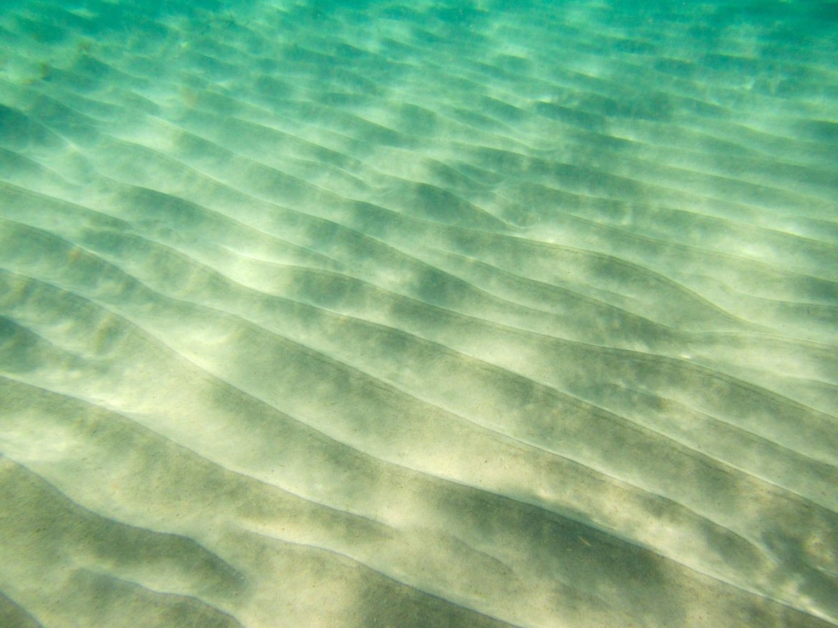Песчаное дно под водой
