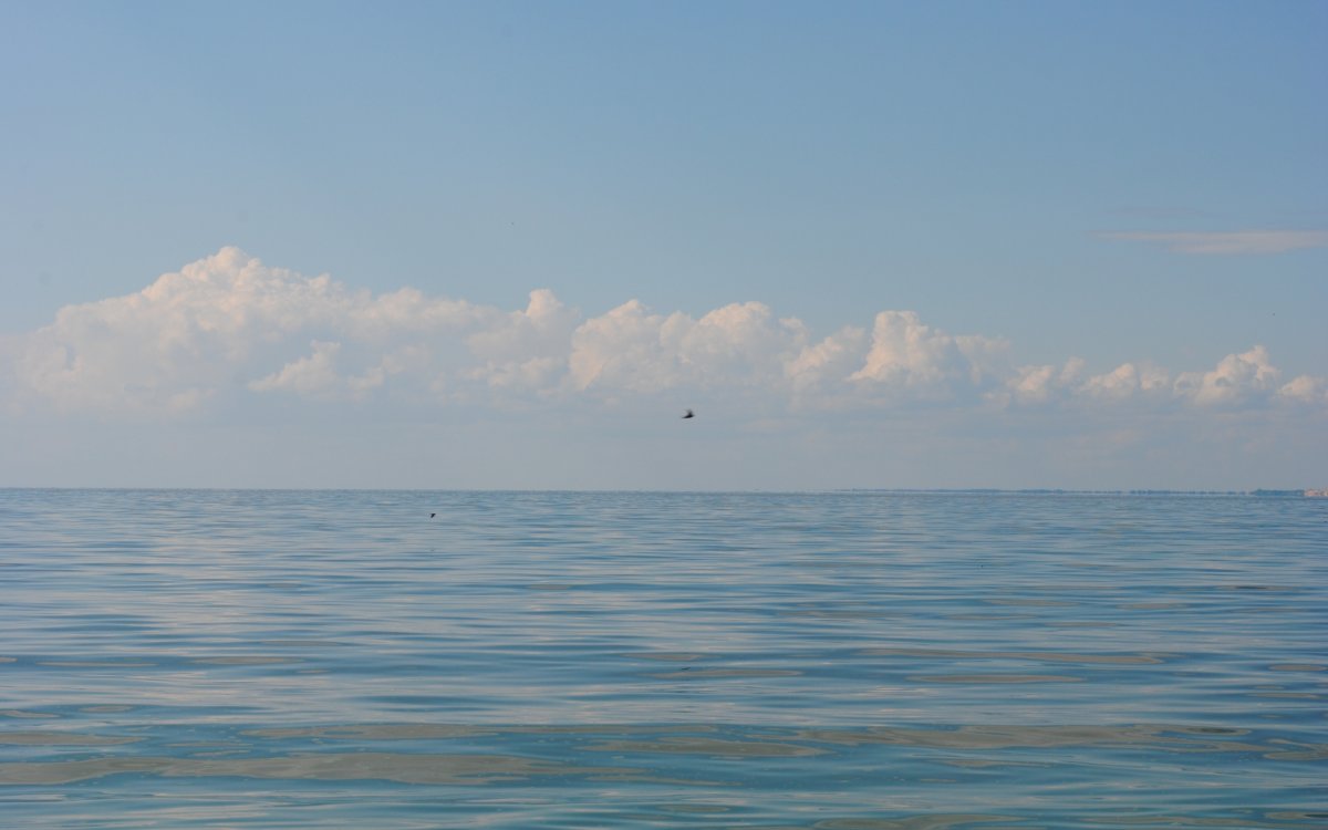 Море штиль Сочи