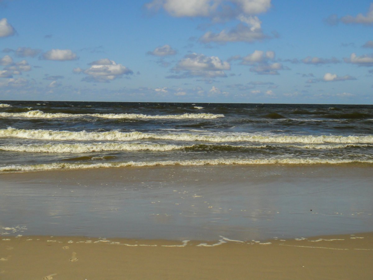 Dalğa Beach dənizi