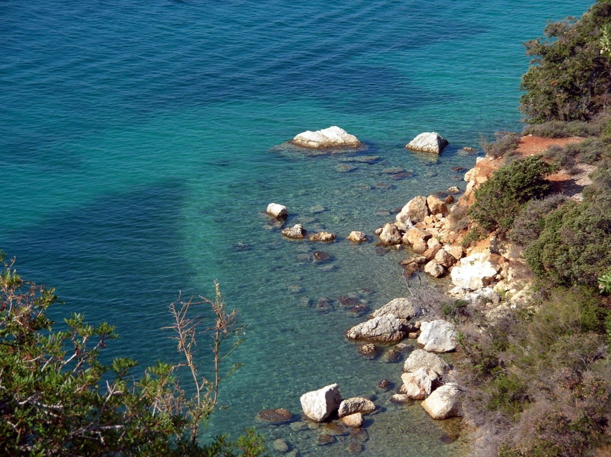 Дубва Адриатическое море