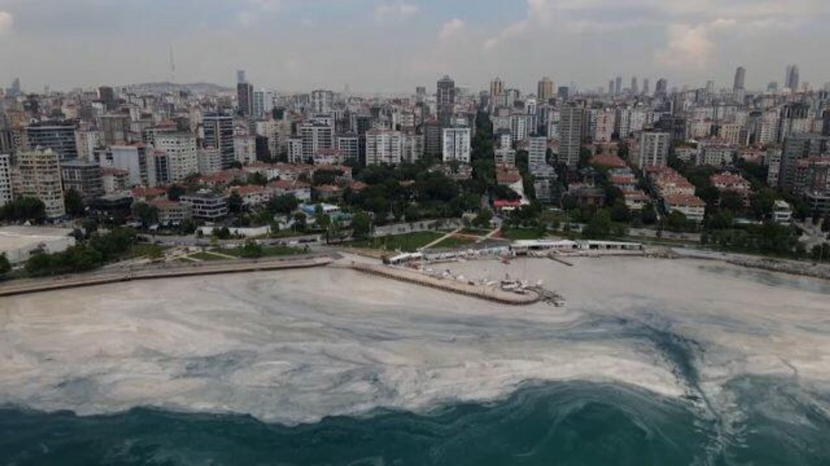 Морская слизь в Мраморном море