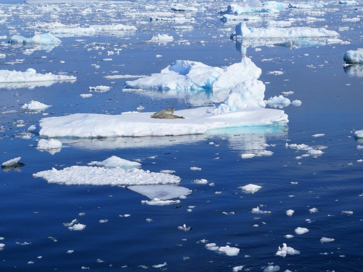 Льдины в море