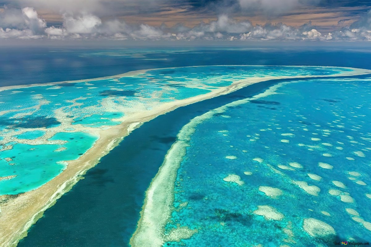 Самое большое море австралии