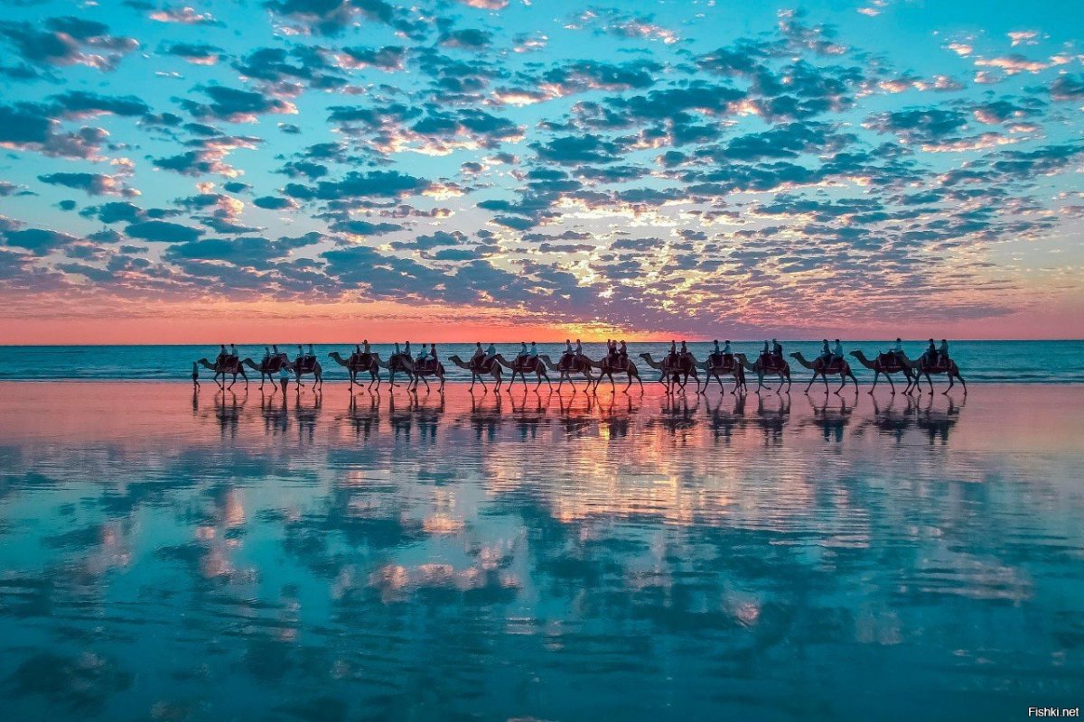 С караваном на море