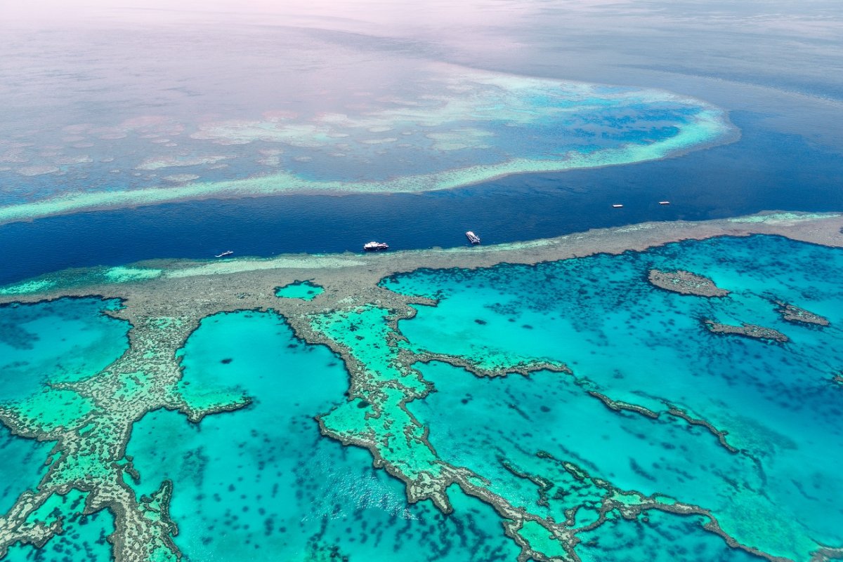 Австралия great Barrier Reef