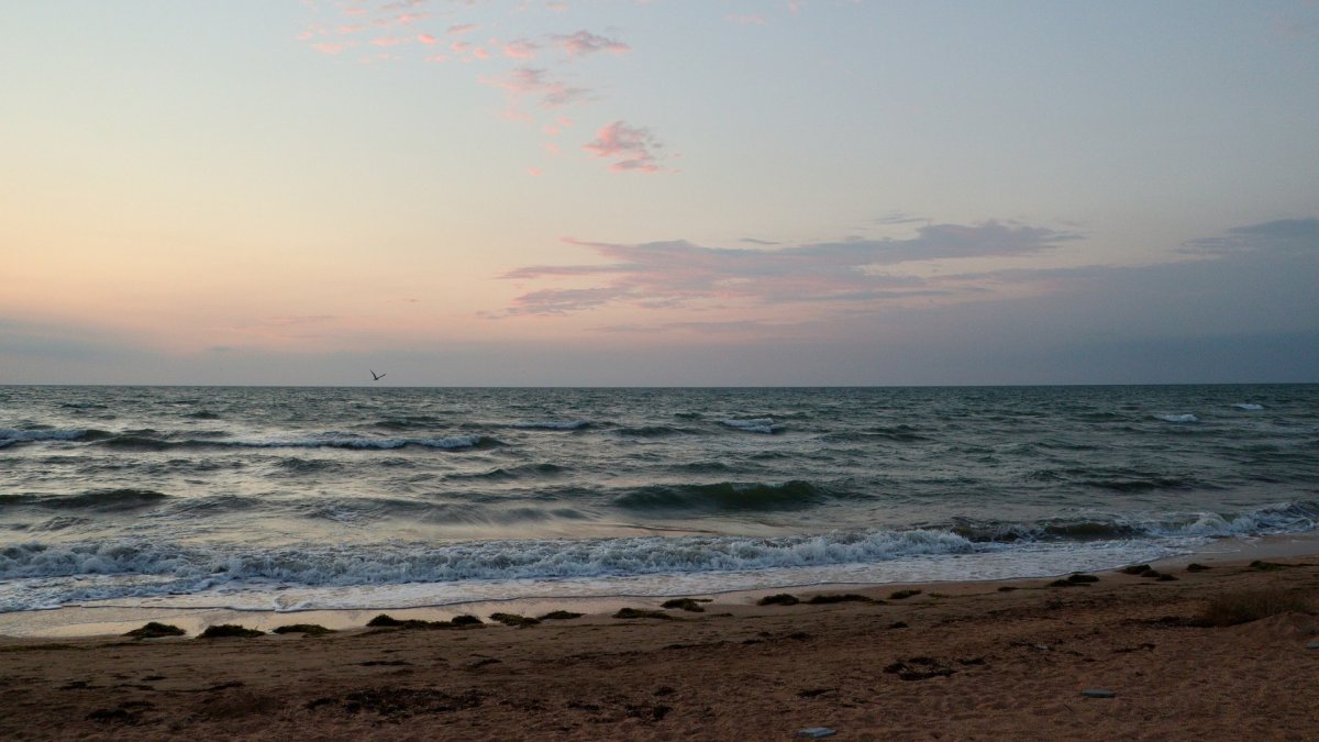 Алексеевское море