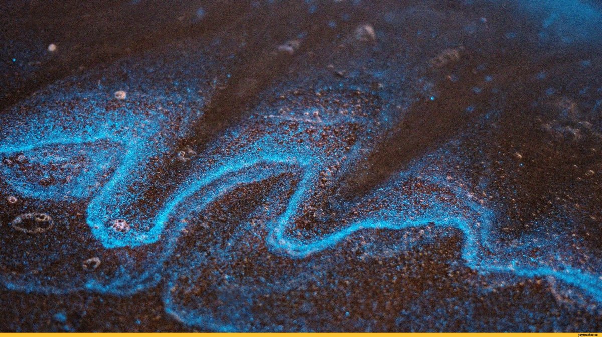 Вода фосфорится