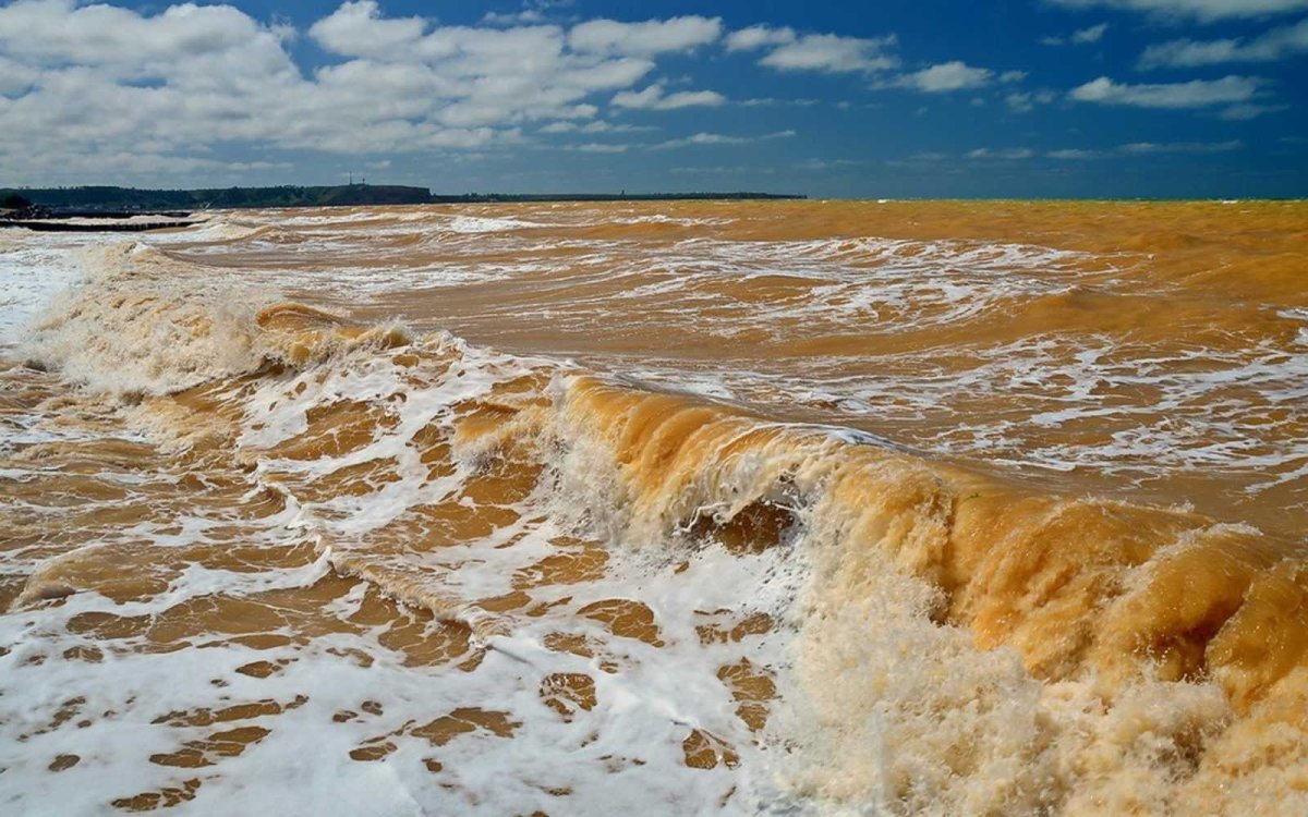 Впадение Хуанхэ в желтое море