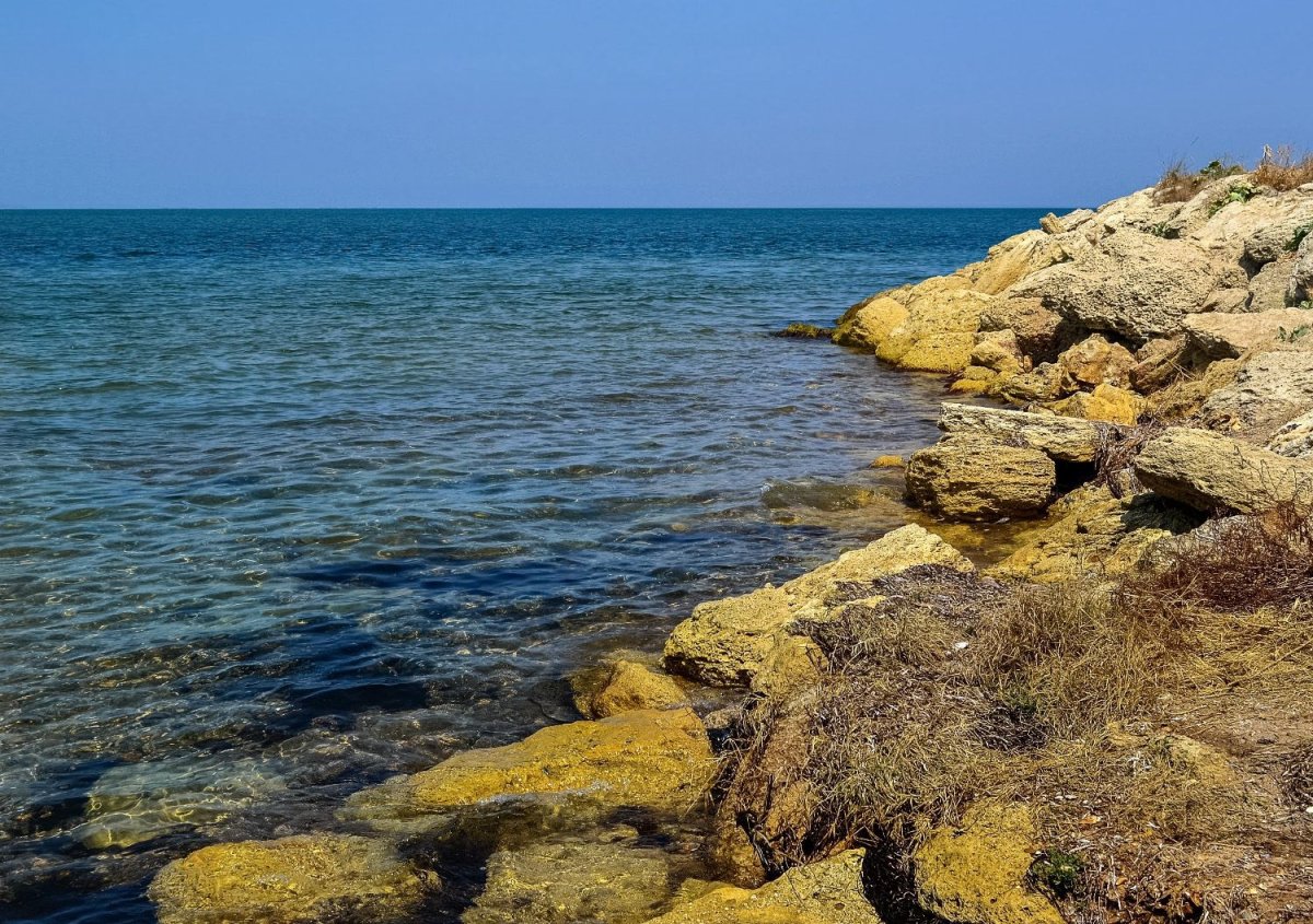 Черное море желтое