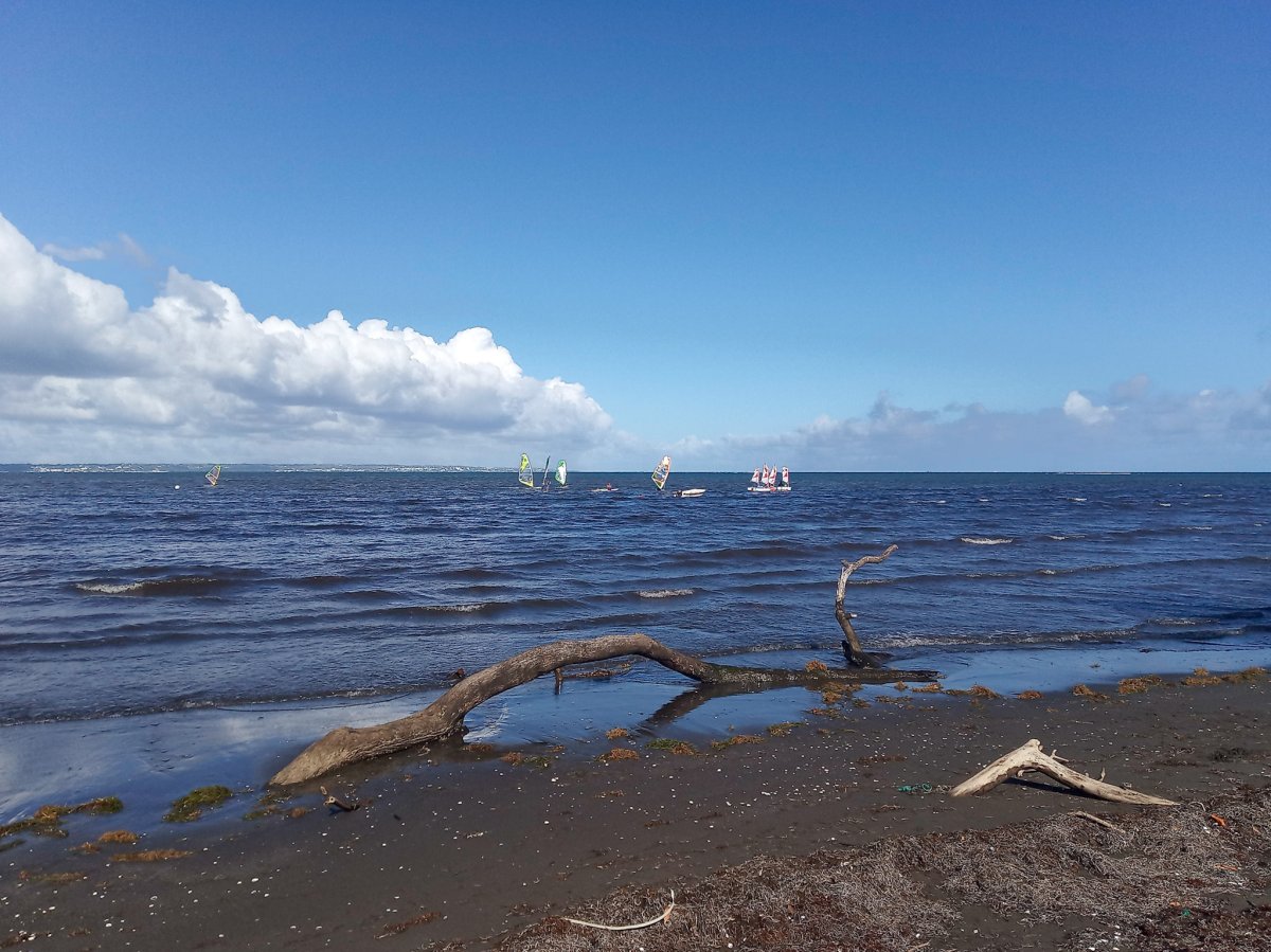 Астрахань Карибское море