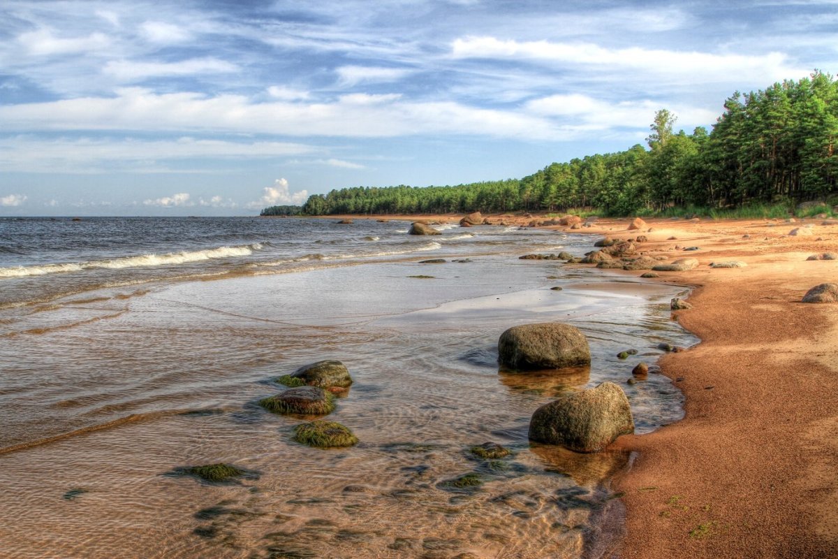 Сосновый Бор Балтийское море