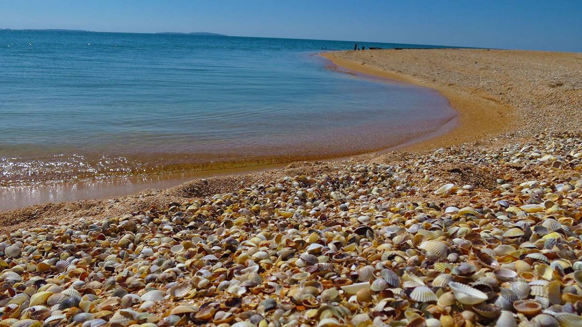 Азовское море Казантипский залив