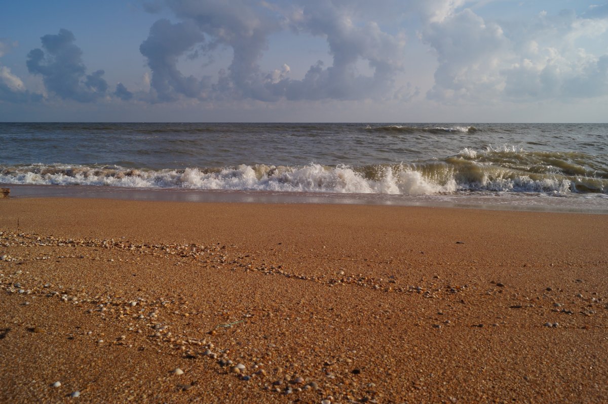 Кубань Азовское море