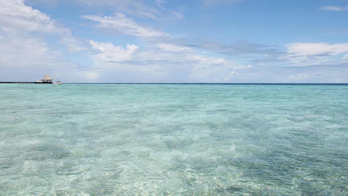 Море мелководье