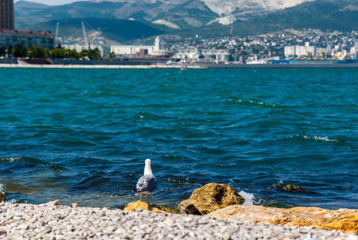Новороссийск Novorossiysk море