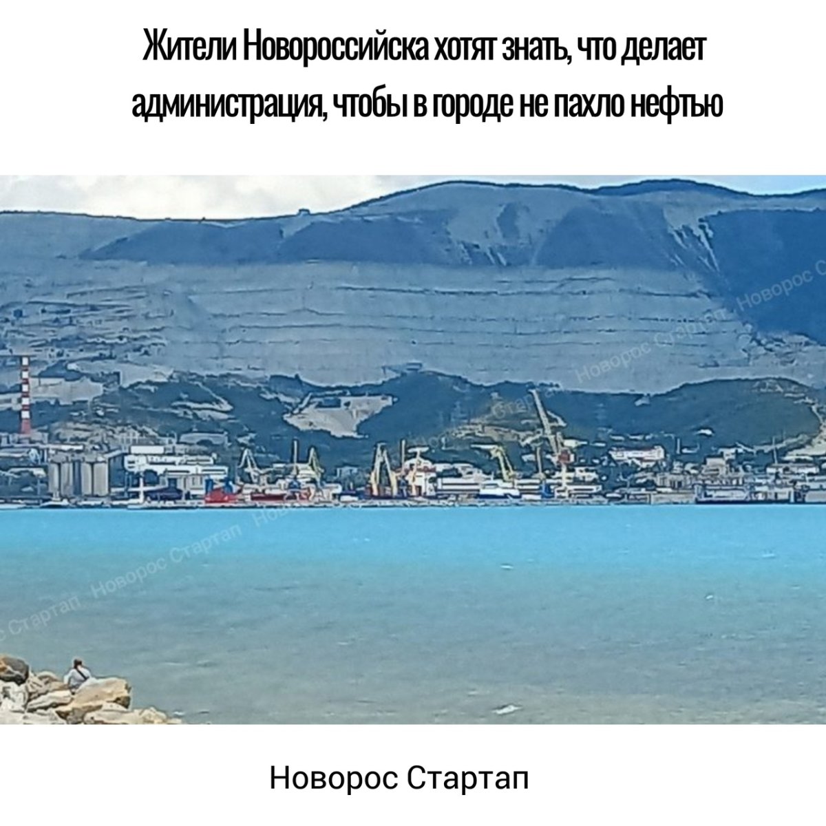 Море в Новороссийске сейчас