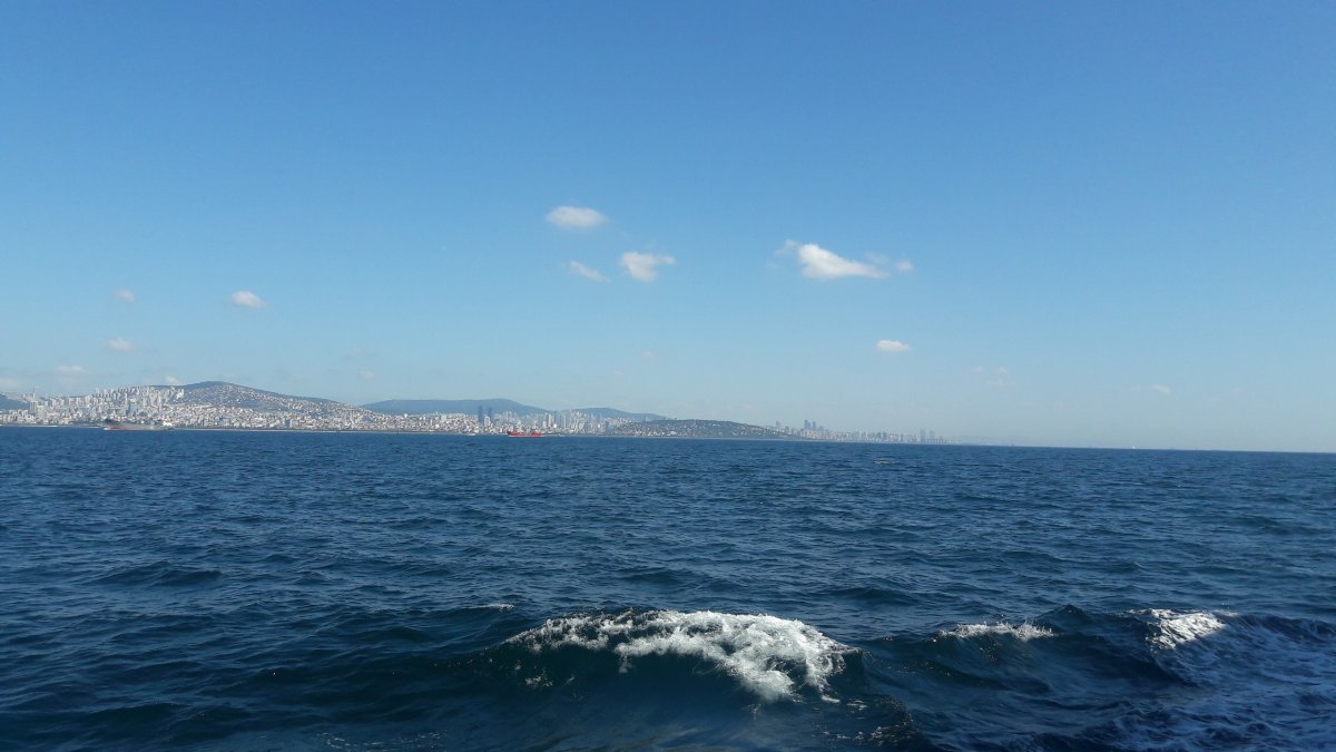Новороссийская дуга в море