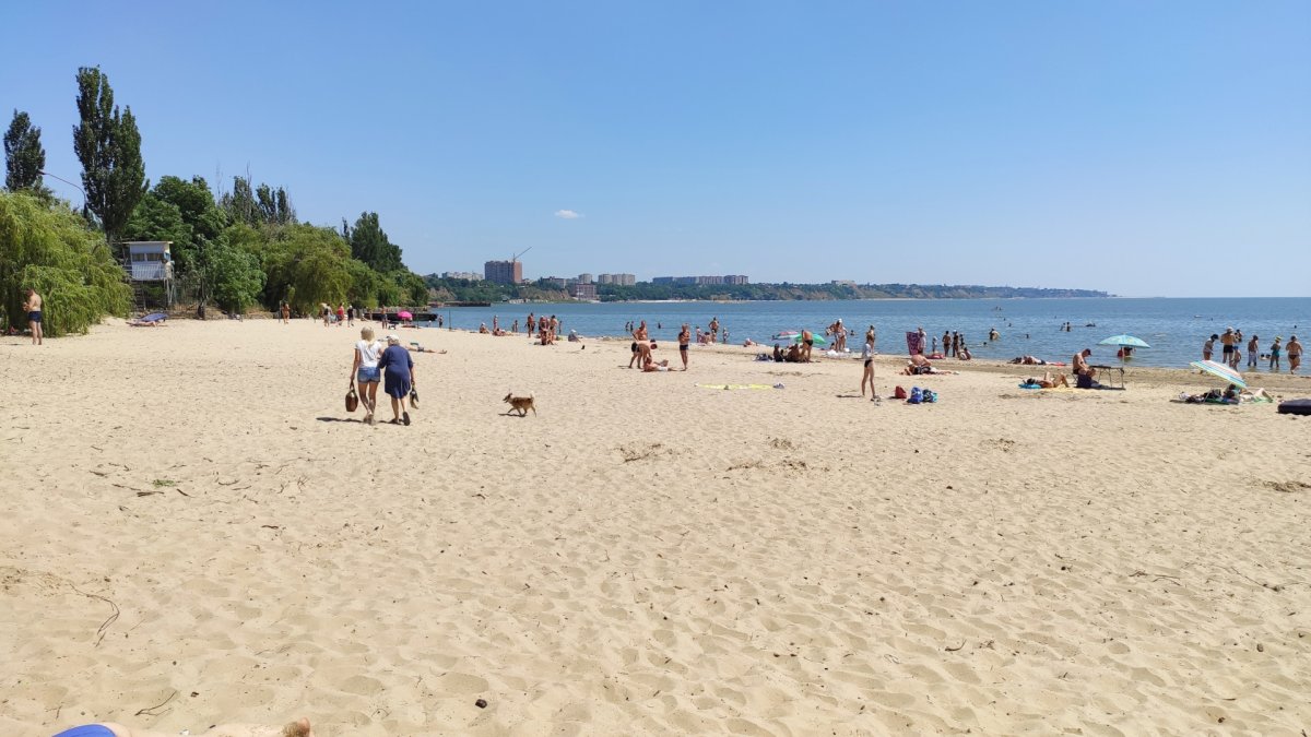 Пляж петрушино азовское море