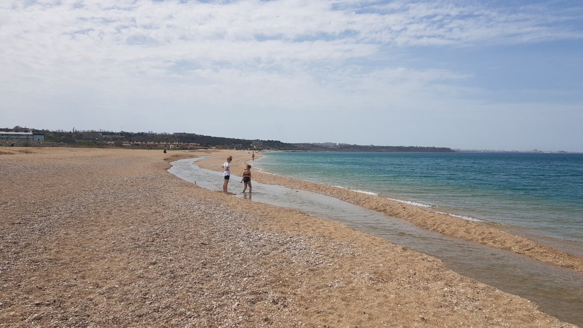 Азовское море акулы купаться