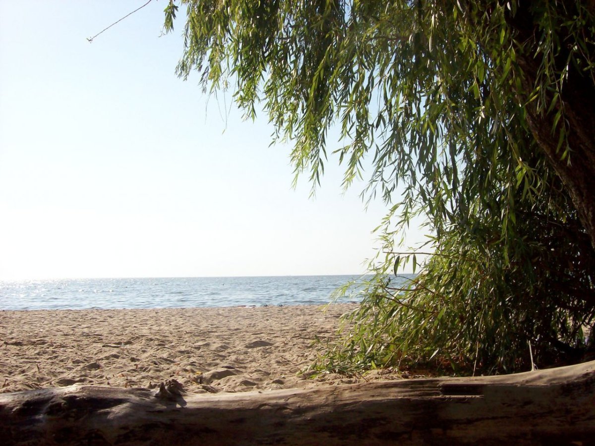 Село Петрушино Таганрог