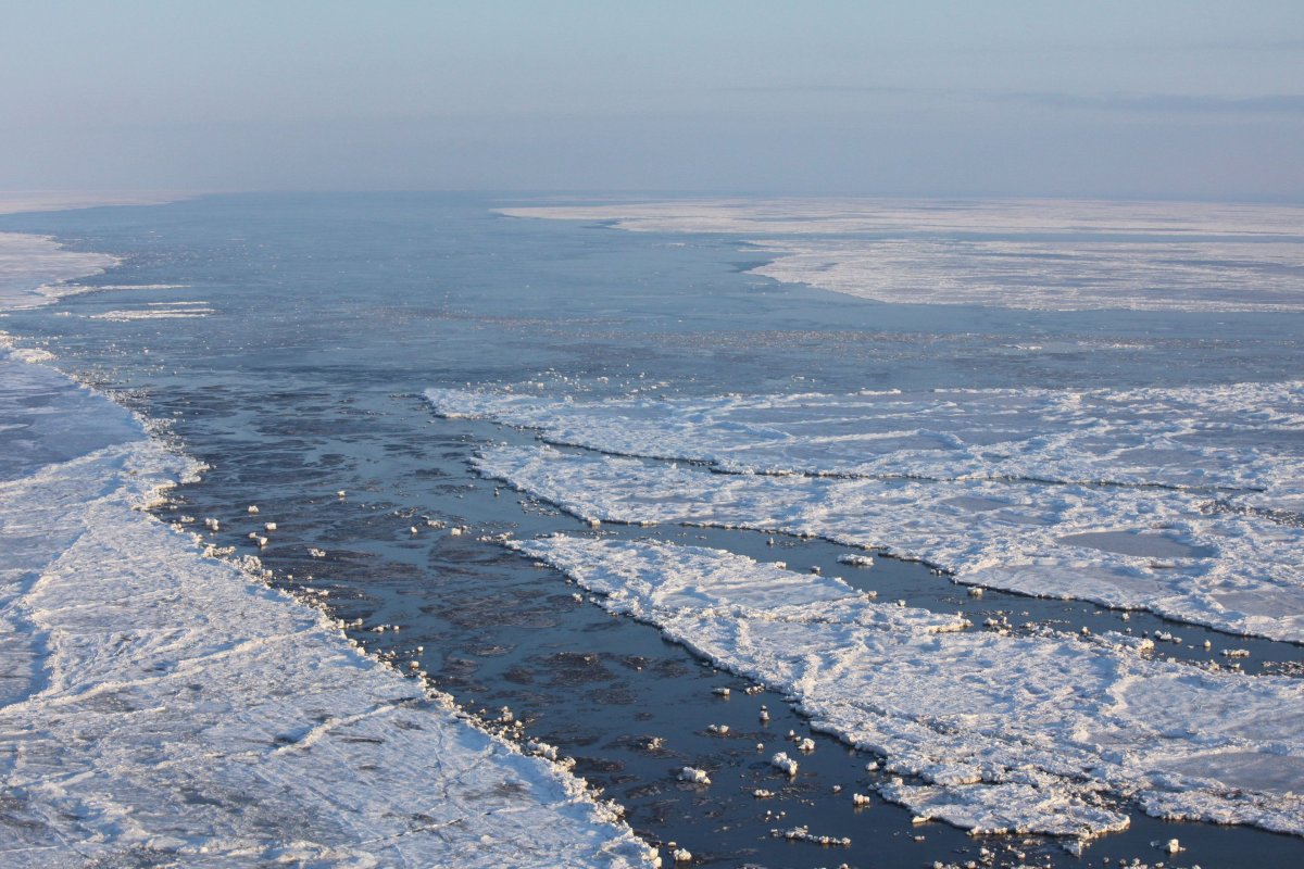 Гольфстрим Баренцево море