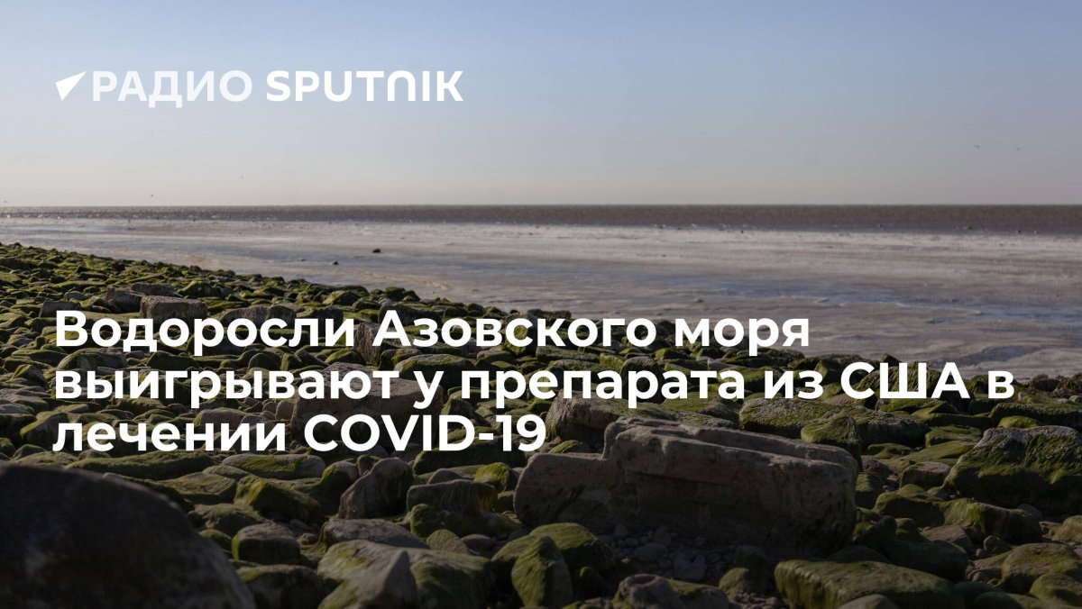 Водоросли Азовского моря