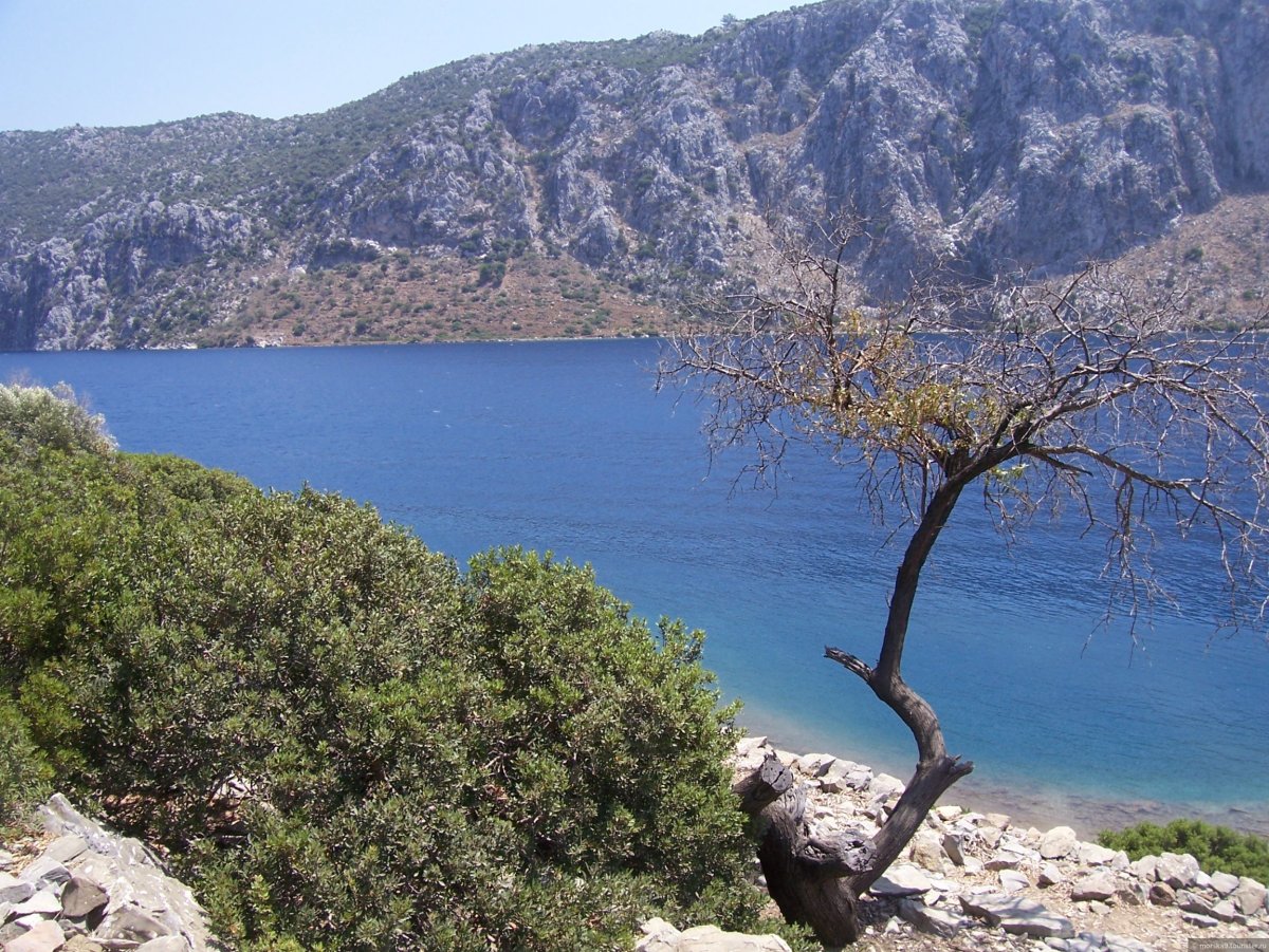 Логан Эгейское море