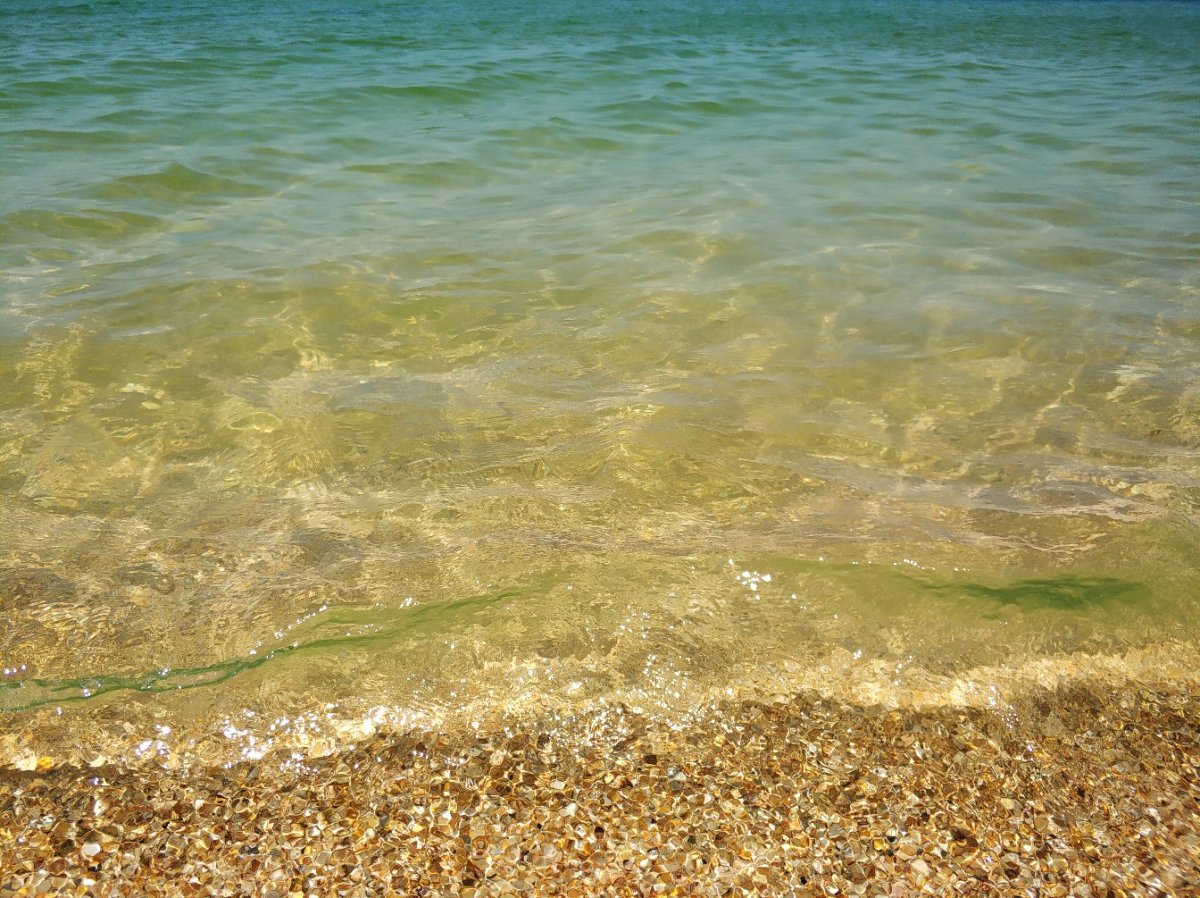 Азовское море чистая вода