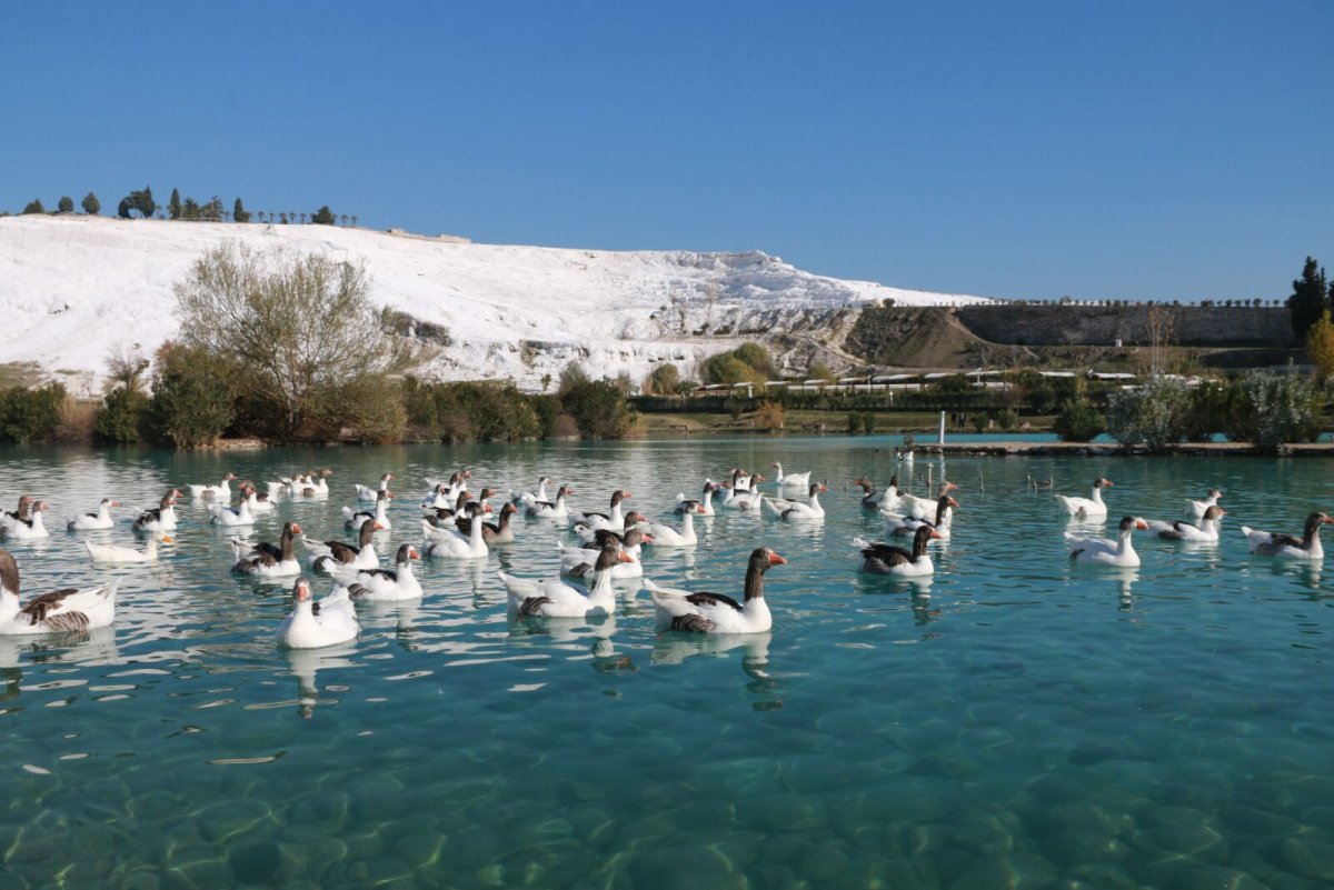 Honaz National Park