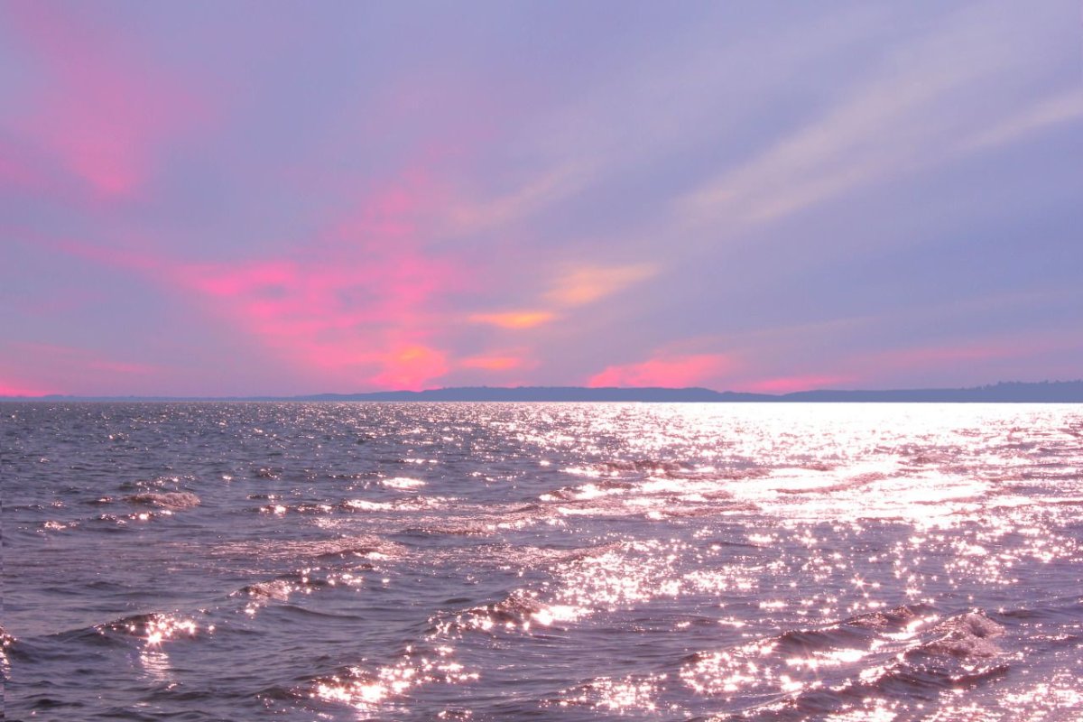 Pink Ocean