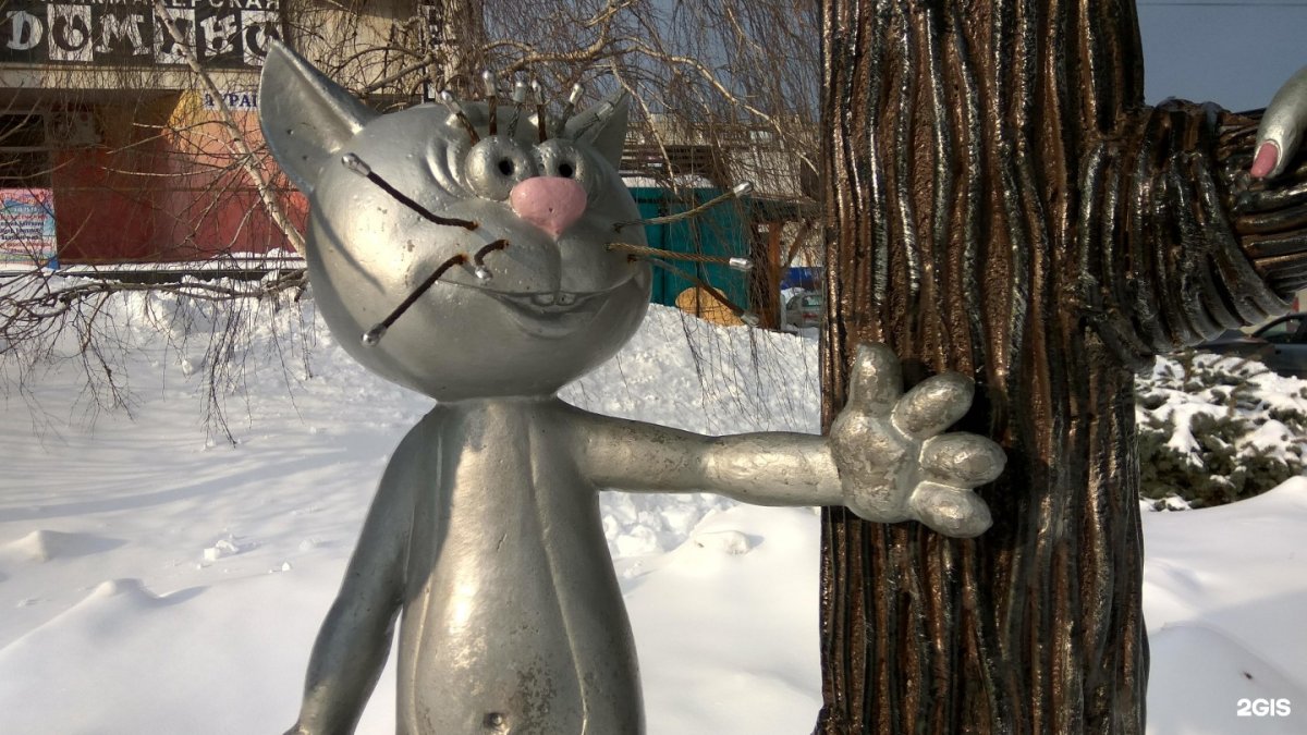 Воронеж и котенок на улицы Лизюкова 2