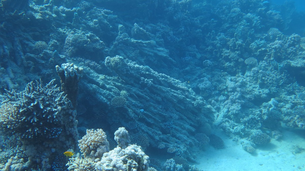Дно моря