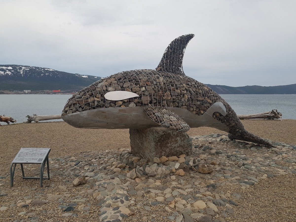 Косатка Магадан памятник