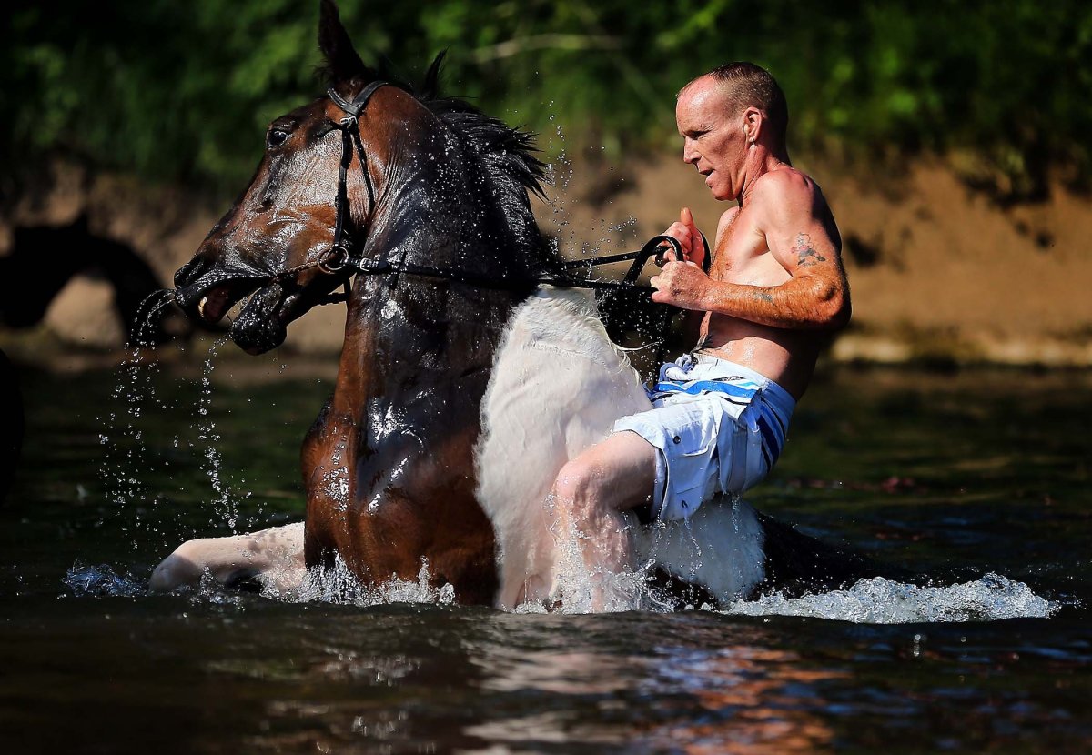 Купание на лошади фотосессия