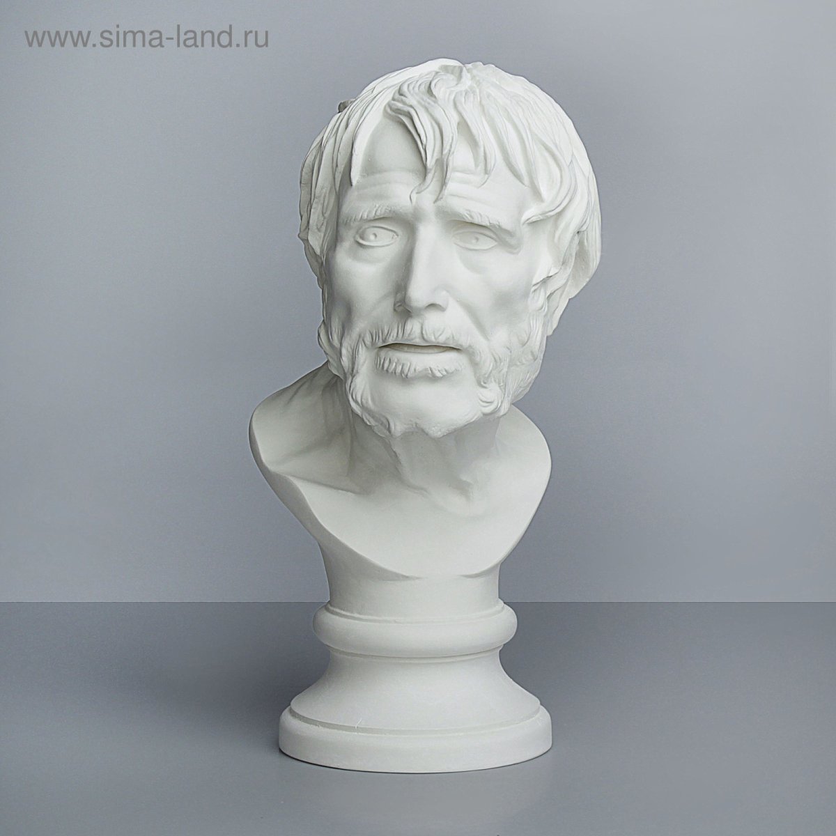 Гипсовая голова Сенека