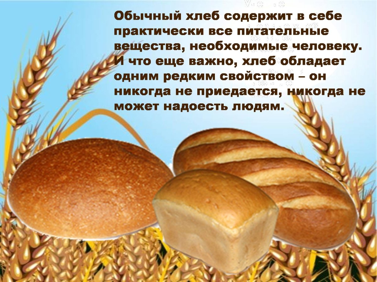 Хлеб и хлебобулочные изделия презентация